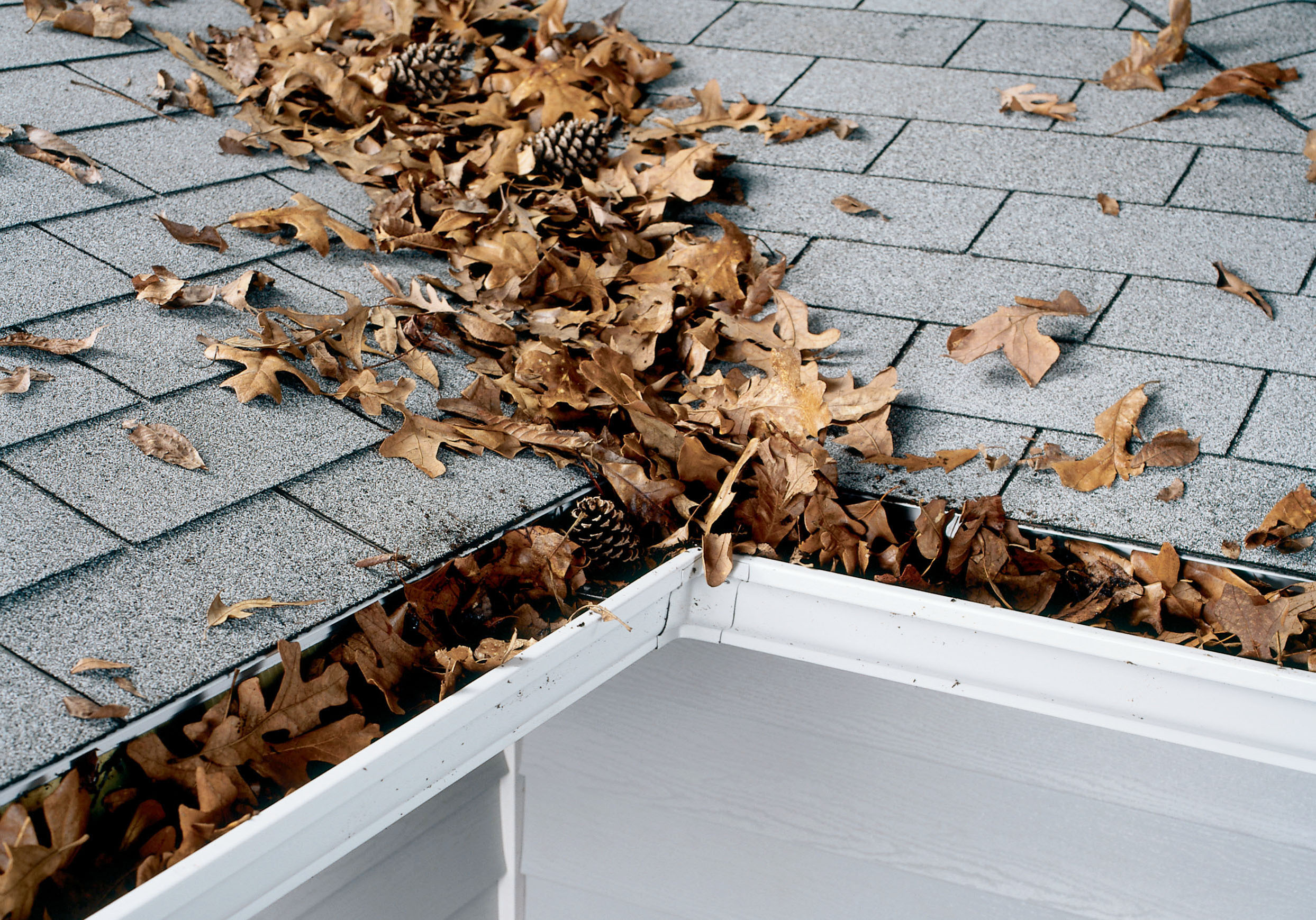 Autumn Roof Inspection | Roofing Company | CL Frey
