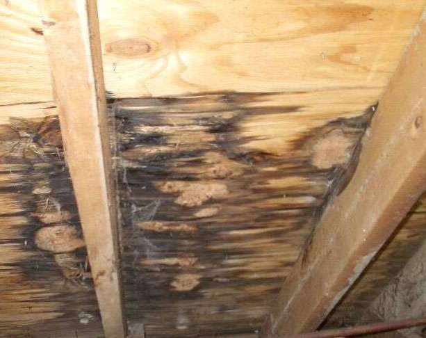 Water Damaged Roof