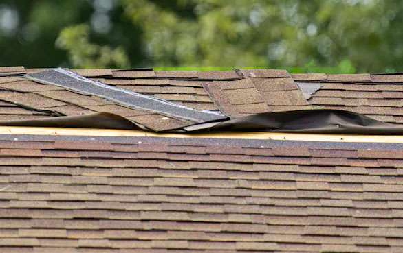 Damaged Roof Shingles