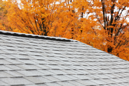 What is the best season to replace your roof?